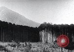 Standbild Inseln Klima Japan, 1936, aus Sekunde 23 historischem Filmmaterial Videoclip 65675024898