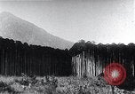 Standbild Inseln Klima Japan, 1936, aus Sekunde 24 historischem Filmmaterial Videoclip 65675024898