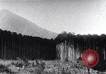 Standbild Inseln Klima Japan, 1936, aus Sekunde 25 historischem Filmmaterial Videoclip 65675024898