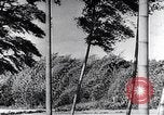 Standbild Inseln Klima Japan, 1936, aus Sekunde 40 historischem Filmmaterial Videoclip 65675024898