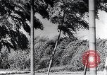 Standbild Inseln Klima Japan, 1936, aus Sekunde 41 historischem Filmmaterial Videoclip 65675024898