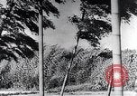 Standbild Inseln Klima Japan, 1936, aus Sekunde 42 historischem Filmmaterial Videoclip 65675024898