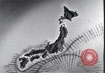 Standbild Inseln Klima Japan, 1936, aus Sekunde 60 historischem Filmmaterial Videoclip 65675024898
