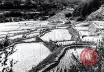 Image of rice fields Japan, 1936, second 17 stock footage video 65675024899