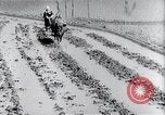Image of rice fields Japan, 1936, second 33 stock footage video 65675024899