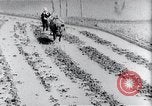 Image of rice fields Japan, 1936, second 34 stock footage video 65675024899
