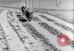 Image of rice fields Japan, 1936, second 35 stock footage video 65675024899