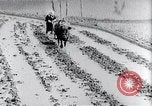 Image of rice fields Japan, 1936, second 36 stock footage video 65675024899