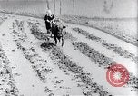 Image of rice fields Japan, 1936, second 37 stock footage video 65675024899