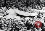 Image of rice fields Japan, 1936, second 38 stock footage video 65675024899