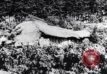 Image of rice fields Japan, 1936, second 39 stock footage video 65675024899