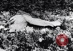 Image of rice fields Japan, 1936, second 40 stock footage video 65675024899