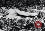 Image of rice fields Japan, 1936, second 41 stock footage video 65675024899