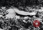 Image of rice fields Japan, 1936, second 42 stock footage video 65675024899