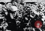 Image of rice fields Japan, 1936, second 44 stock footage video 65675024899