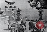 Image of Matsushima Japan, 1936, second 33 stock footage video 65675024902