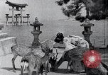 Image of Matsushima Japan, 1936, second 37 stock footage video 65675024902