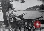 Image of Matsushima Japan, 1936, second 49 stock footage video 65675024902