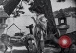 Image of Matsushima Japan, 1936, second 52 stock footage video 65675024902
