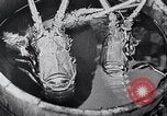 Standbild Insel Enoshima Japan, 1936, aus Sekunde 58 historischem Filmmaterial Videoclip 65675024904