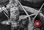 Standbild Insel Enoshima Japan, 1936, aus Sekunde 59 historischem Filmmaterial Videoclip 65675024904