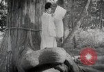 Image Shinto Japon, 1936, de la seconde 19 séquences d'archives historiques vidéo 65675024914