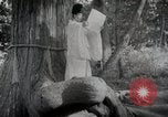 Image Shinto Japon, 1936, de la seconde 20 séquences d'archives historiques vidéo 65675024914