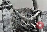 Image Shinto Japon, 1936, de la seconde 28 séquences d'archives historiques vidéo 65675024914