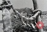 Image Shinto Japon, 1936, de la seconde 29 séquences d'archives historiques vidéo 65675024914