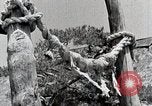 Image Shinto Japon, 1936, de la seconde 31 séquences d'archives historiques vidéo 65675024914
