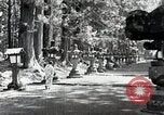 Standbild Shinto Japan, 1936, aus Sekunde 16 historischem Filmmaterial Videoclip 65675024916