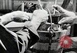 Immagine di Soldato giapponese United States USA, 1945, secondo 22 filmato di repertorio 65675024928