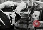 Immagine di Soldato giapponese United States USA, 1945, secondo 23 filmato di repertorio 65675024928