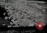 Image of long boats navigate rapids Japan, 1898, second 1 stock footage video 65675024930