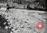 Image of long boats navigate rapids Japan, 1898, second 3 stock footage video 65675024930