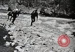 Image of long boats navigate rapids Japan, 1898, second 8 stock footage video 65675024930