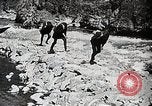 Image of long boats navigate rapids Japan, 1898, second 10 stock footage video 65675024930