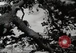 Standbild modernen Gebäuden der Tokyo Japan kurz vor Zweiten Weltkrieg Tokio, Japan, 1939, aus Sekunde 45 historischem Filmmaterial Videoclip 65675024933