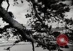 Standbild modernen Gebäuden der Tokyo Japan kurz vor Zweiten Weltkrieg Tokio, Japan, 1939, aus Sekunde 46 historischem Filmmaterial Videoclip 65675024933