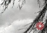 Image of panorama Japan, 1939, second 5 stock footage video 65675024936