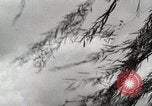Image of panorama Japan, 1939, second 6 stock footage video 65675024936