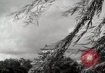 Image of panorama Japan, 1939, second 7 stock footage video 65675024936