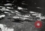 Image of mannequins Kyoto Japan, 1939, second 33 stock footage video 65675024937
