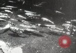 Image of mannequins Kyoto Japan, 1939, second 34 stock footage video 65675024937
