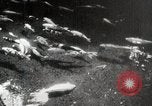 Image of mannequins Kyoto Japan, 1939, second 35 stock footage video 65675024937