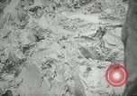Standbild Flut Okinawa Ryukyu Inseln, 1945, aus Sekunde 29 historischem Filmmaterial Videoclip 65675024953
