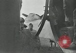 Immagine di Alianti Eindhoven Paesi Bassi, 1944, secondo 57 filmato di repertorio 65675024958