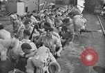 Image of liberation of Athens Greece in World War 2 Athens Greece, 1944, second 50 stock footage video 65675024960