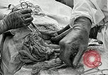 Image Le Colonel Seagrave unité médicale du la Birmanie, 1944, de la seconde 58 séquences d'archives historiques vidéo 65675024961