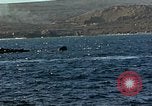 Standbild USA dive Bomber angreifen Okinawa Okinawa, 1945, aus Sekunde 25 historischem Filmmaterial Videoclip 65675024977